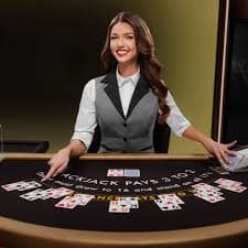 Ringkasan tingkatan loyalitas t6com yang bijak